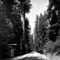 S 193 Big Trees Rail Statio