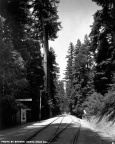 S 193 Big Trees Rail Statio